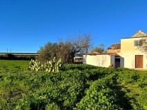 Foto15