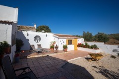 Foto8