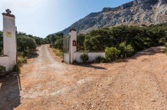 Foto41
