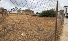Foto3