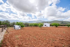 Foto46