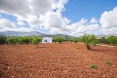 Foto47