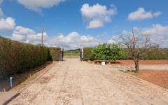 Foto8