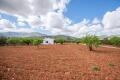 Foto48
