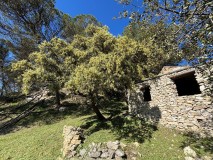 Foto5