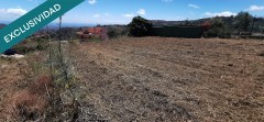 Foto45