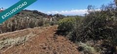Foto6