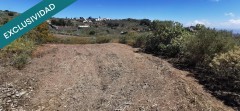 Foto12