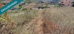 Foto43