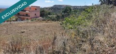 Foto47