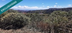 Foto14