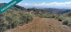 Foto8
