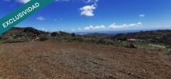 Foto37