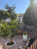 Foto9