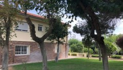 Foto1