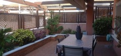 Foto8