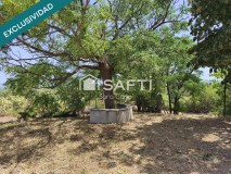 Foto27