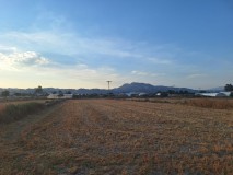 Foto1