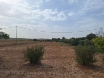 Foto1