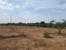 Foto8