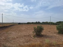 Foto6