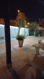 Foto2