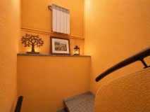 Foto5