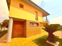 Foto35