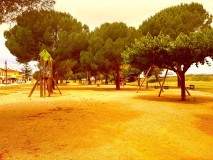 Foto41
