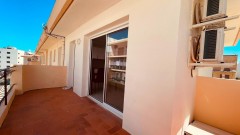 Foto8