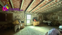 Foto8