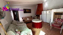 Foto15