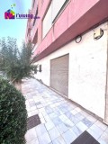 Foto1
