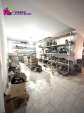 Foto6