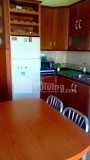 Foto8