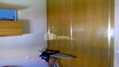 Foto21