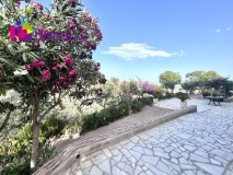Foto47