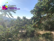 Foto32