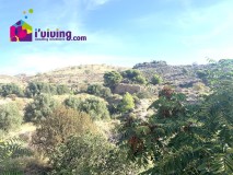 Foto34