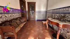 Foto5