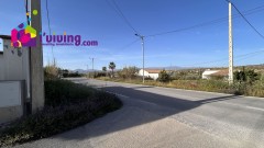 Foto37