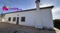 Foto42