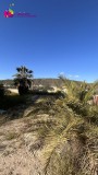Foto30