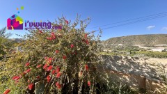 Foto34