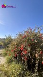 Foto35
