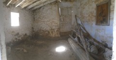 Foto6