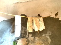 Foto8