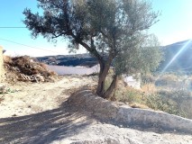 Foto9