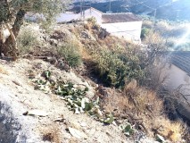 Foto14