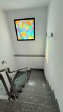 Foto8